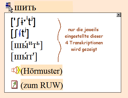 Beispiel: 2 Transkriptionssysteme in je 2 Detailliertheitsgraden